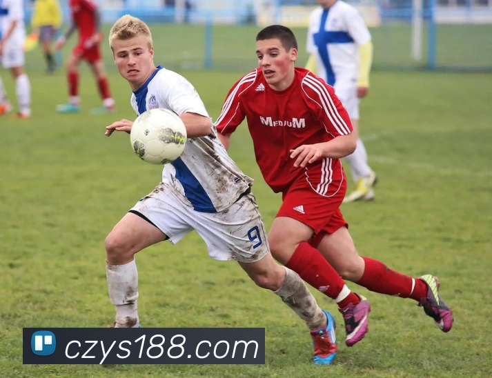 安博登录入口网页版平台生态图